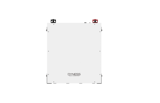 BATERIA SOLAR DE LITIO DYNESS 4,8KWH 48V LIFEPO4 A48100